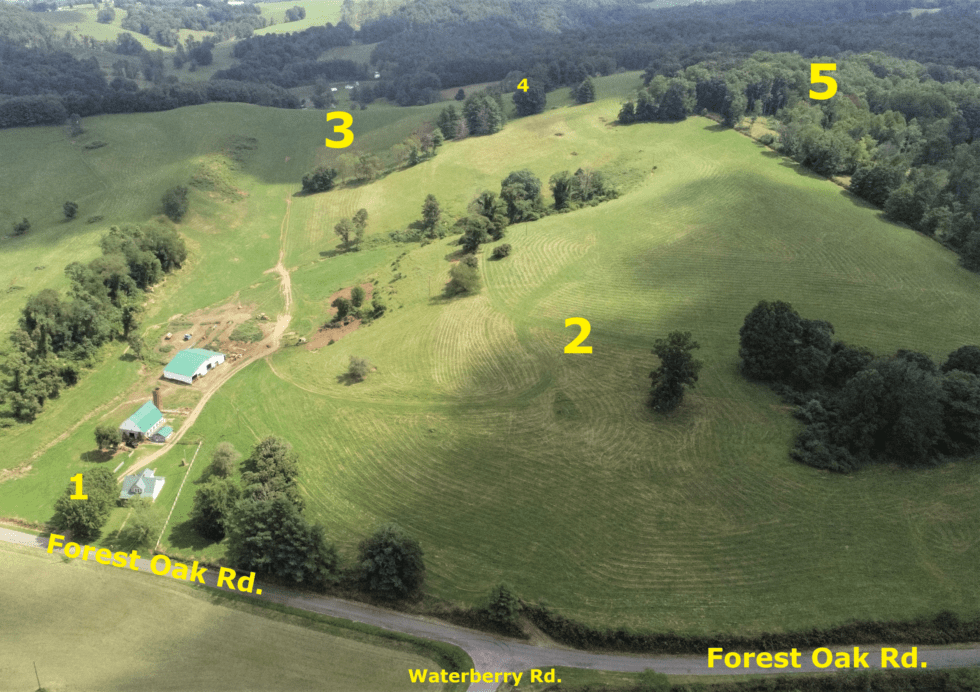 Auctions The Dawn Auction Company